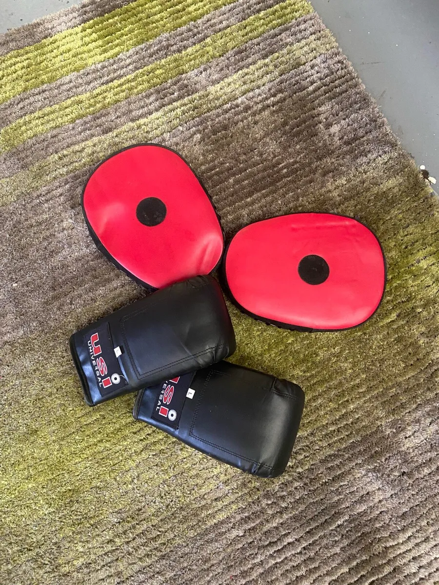 Boxing bag bracket pads and gloves - Image 3