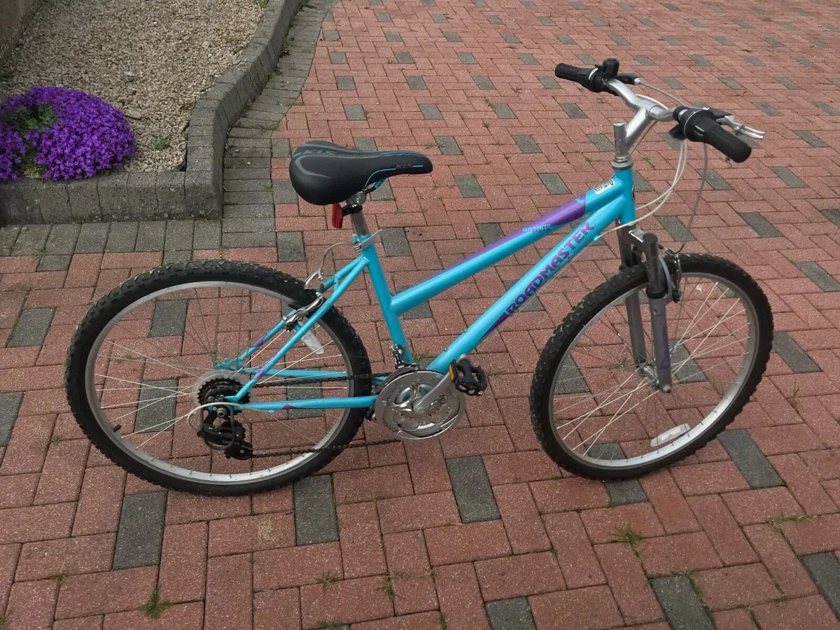 Roadmaster mountain bike - Image 1