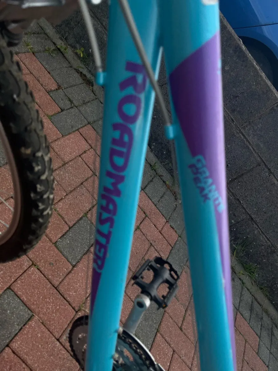 Roadmaster mountain bike - Image 2
