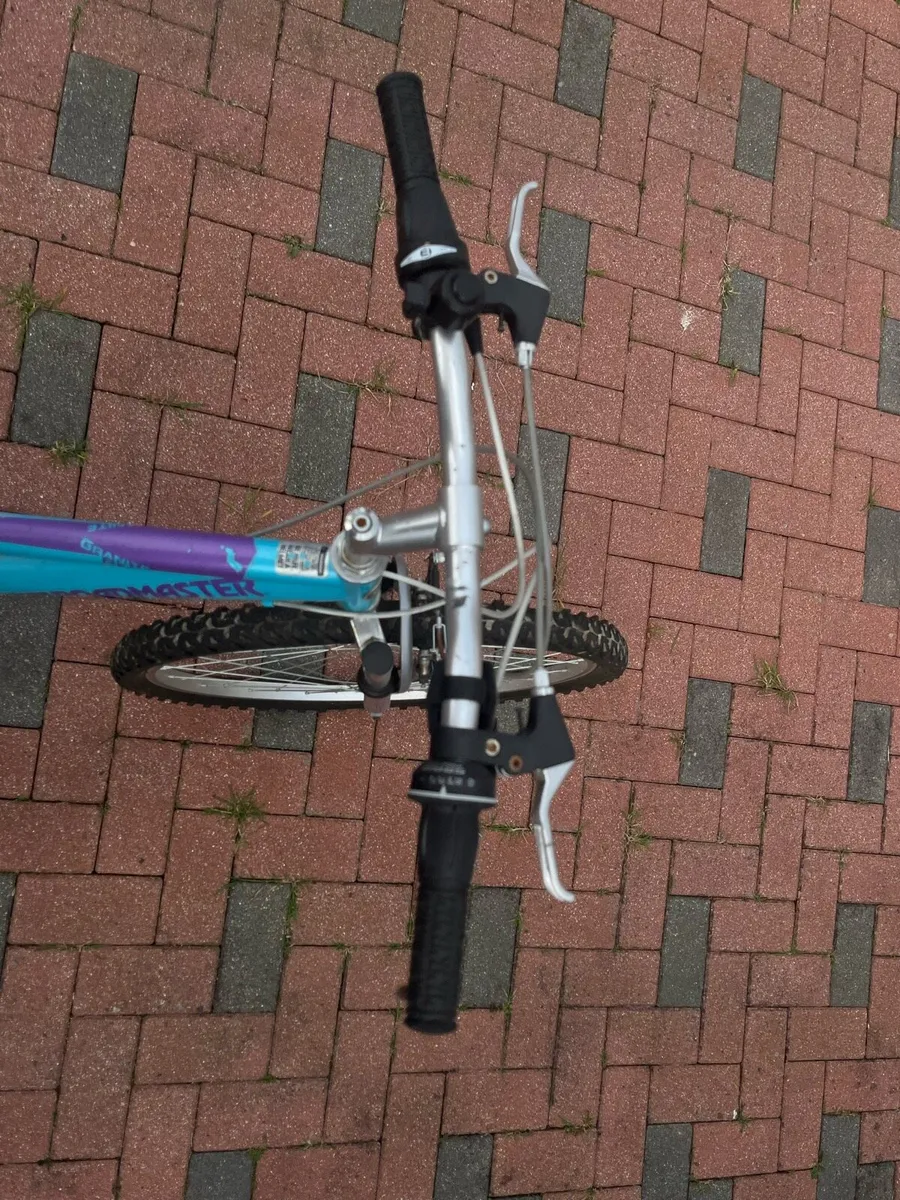 Roadmaster mountain bike - Image 3