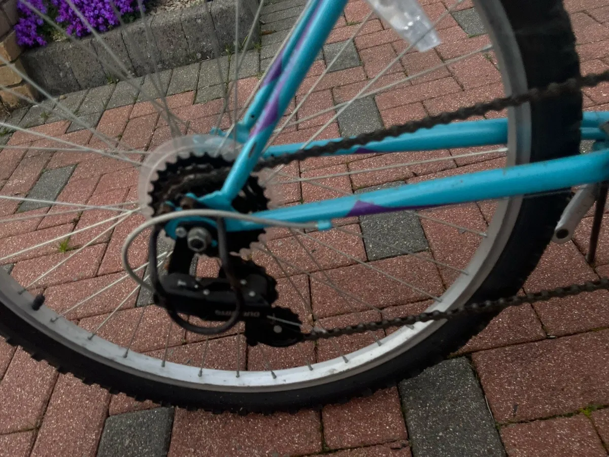 Roadmaster mountain bike - Image 4