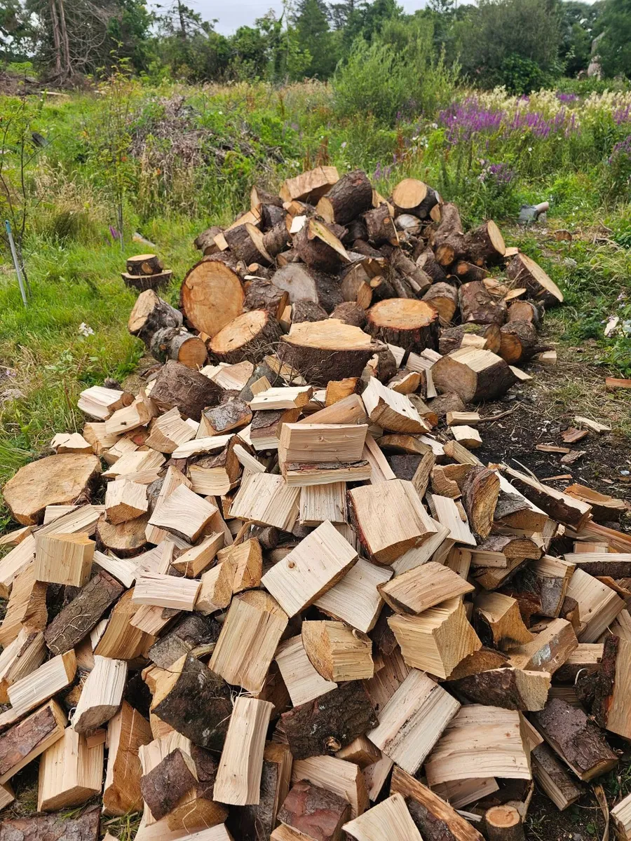 Chainsaw operator - Image 1