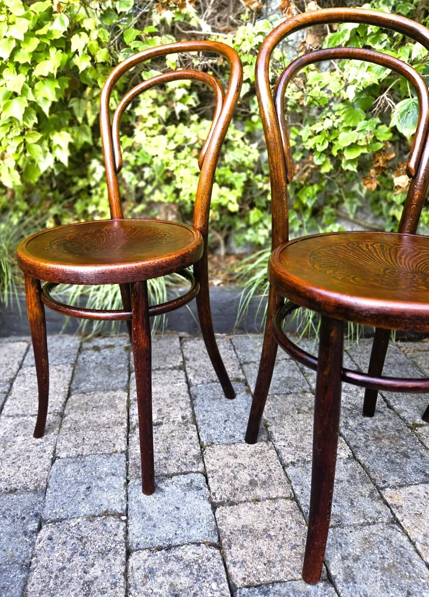 Antique Bentwood Chairs- Circa 1920's - Image 3