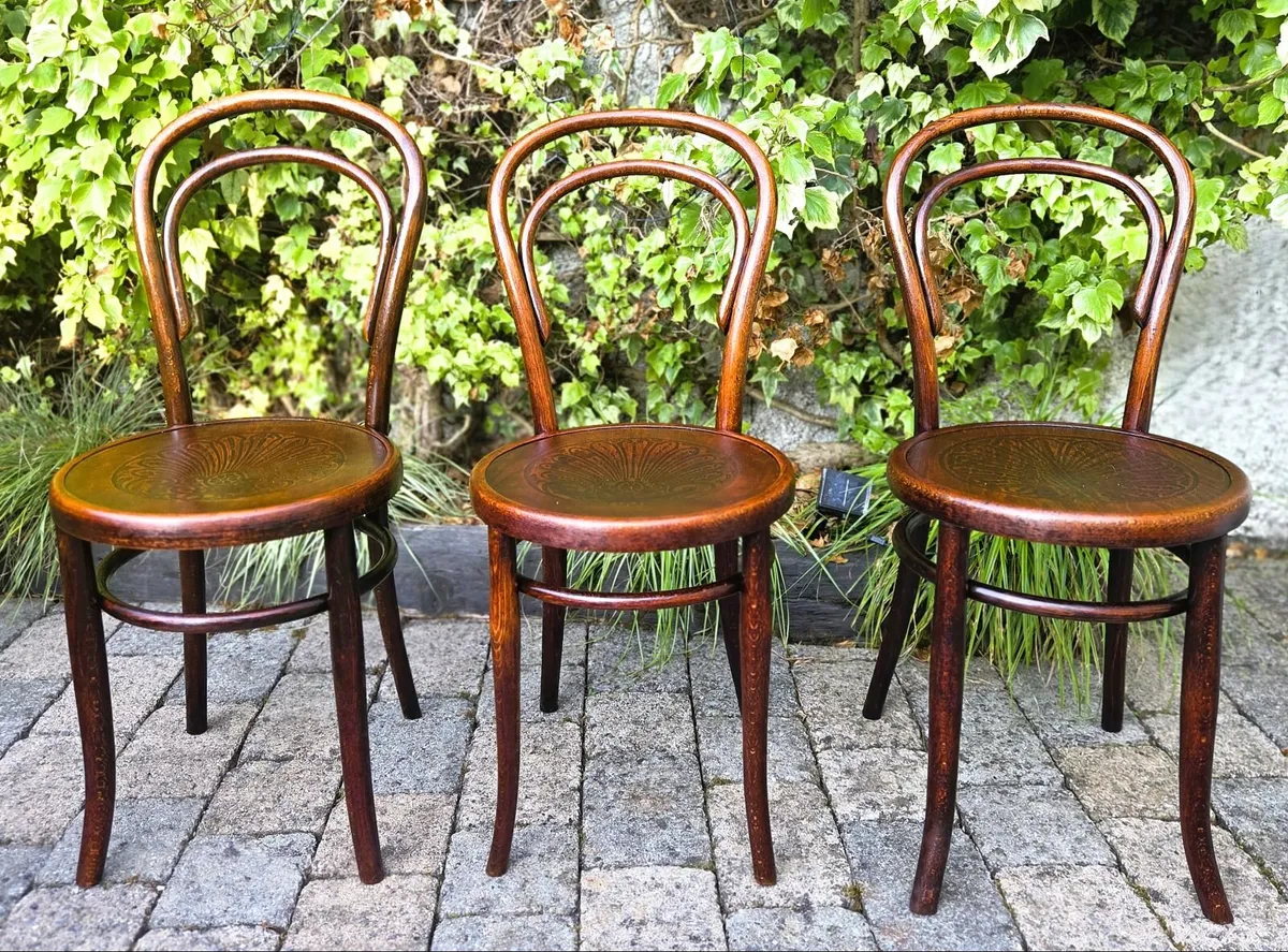 Antique Bentwood Chairs- Circa 1920's - Image 4