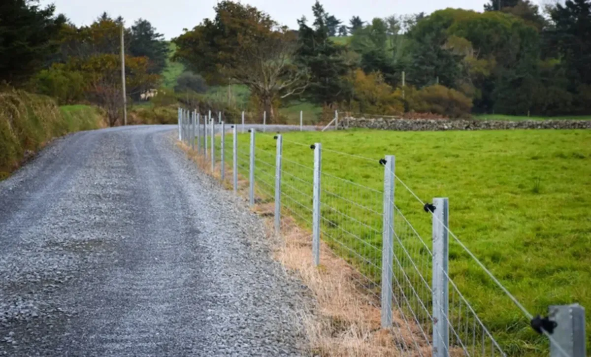 Clipex Steel Posts - Image 1