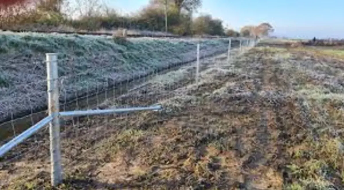 Clipex Steel Posts - Image 2