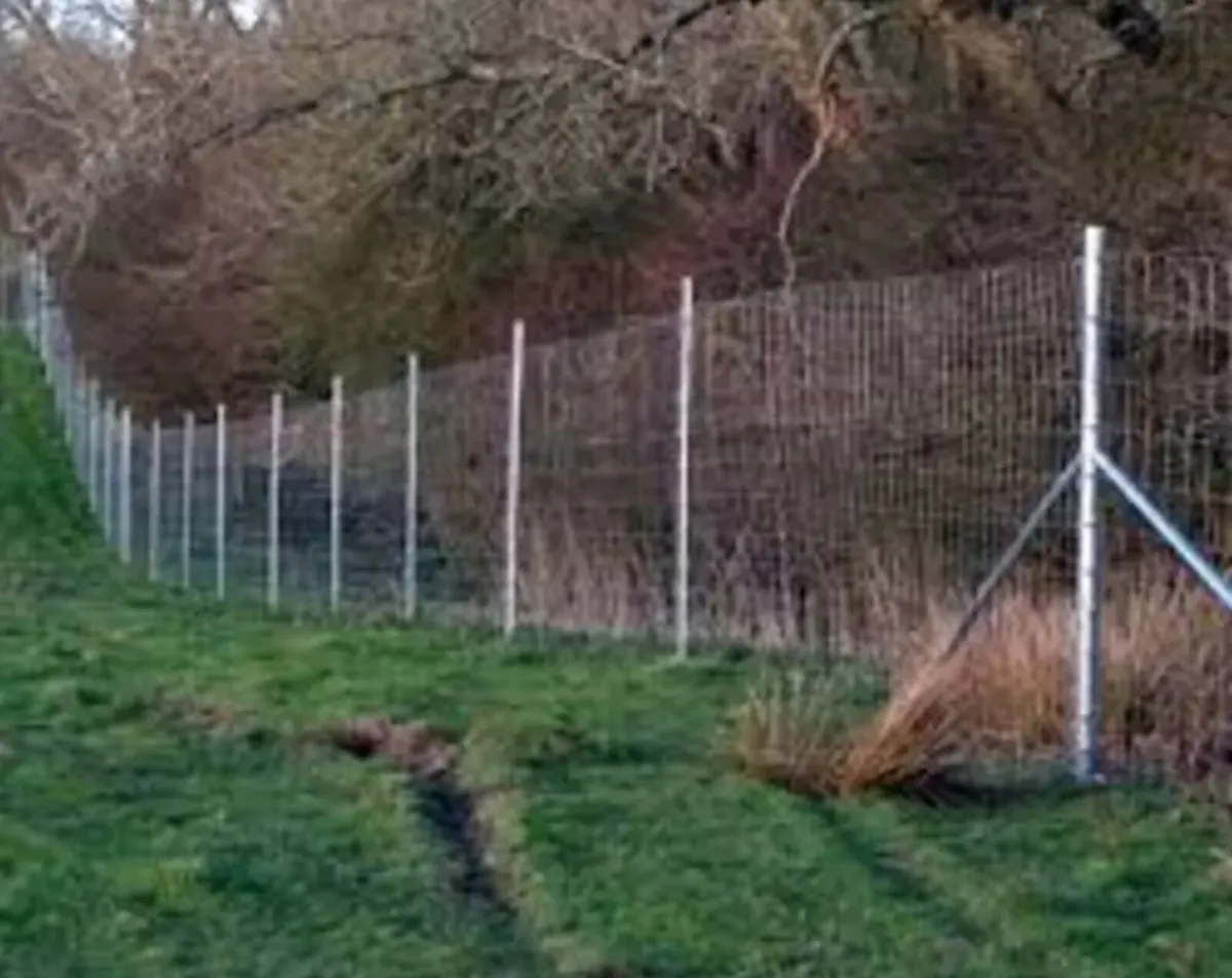 Clipex Steel Posts - Image 3