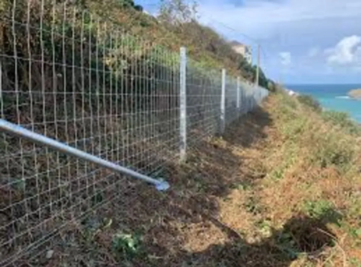 Clipex Steel Posts - Image 4