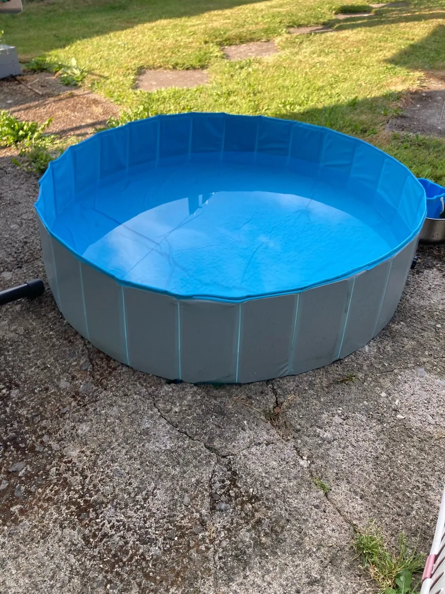 Sturdy Paddling Pool - Pet Safe - Image 2