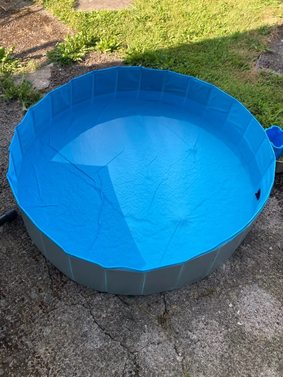 Sturdy Paddling Pool - Pet Safe - Image 3