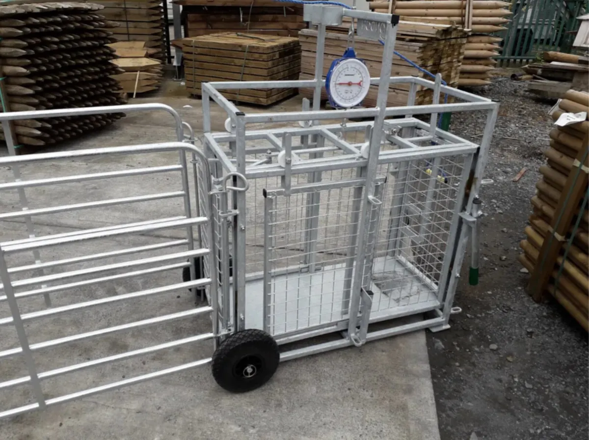 Sheep Equipment - Image 1