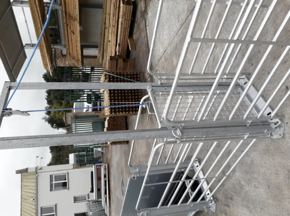 Sheep Equipment - Image 2