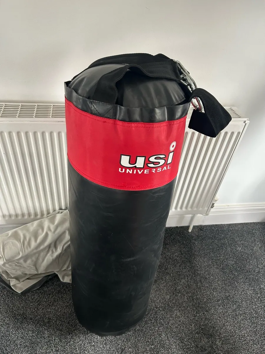 Boxing bag - Image 1