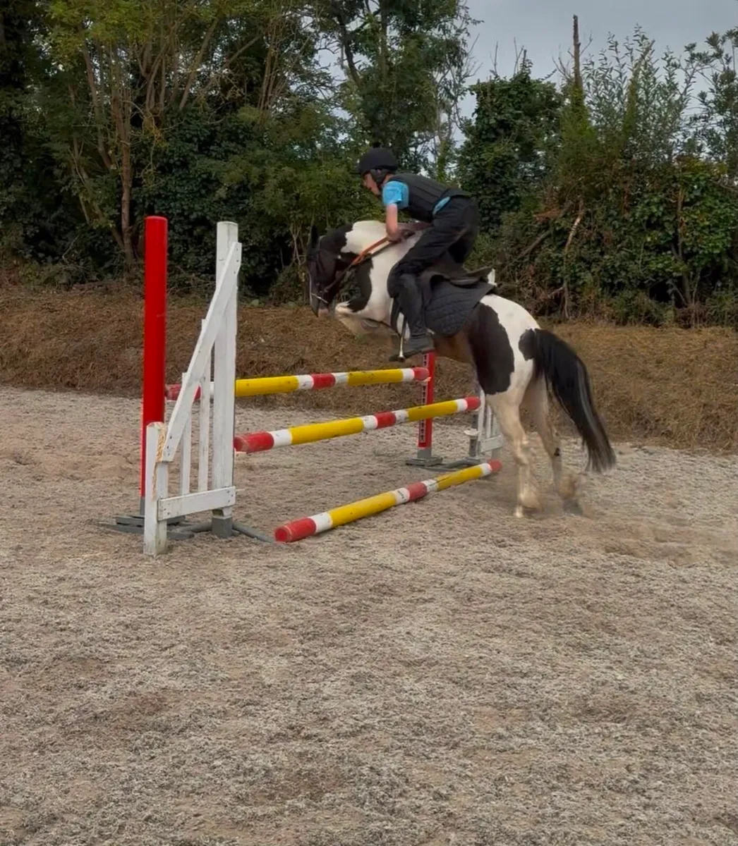Pony - Image 1