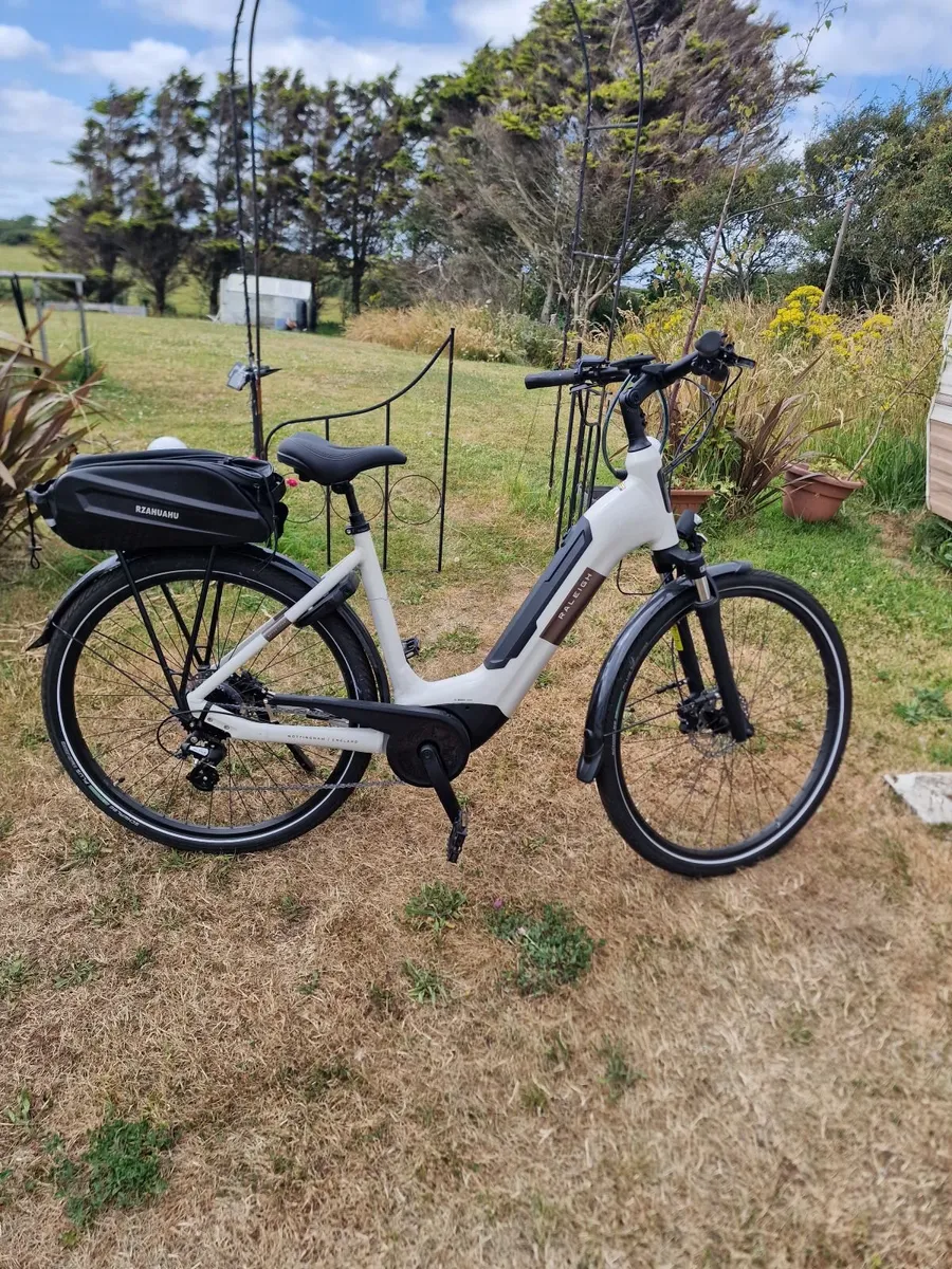 Electric bike - Image 1