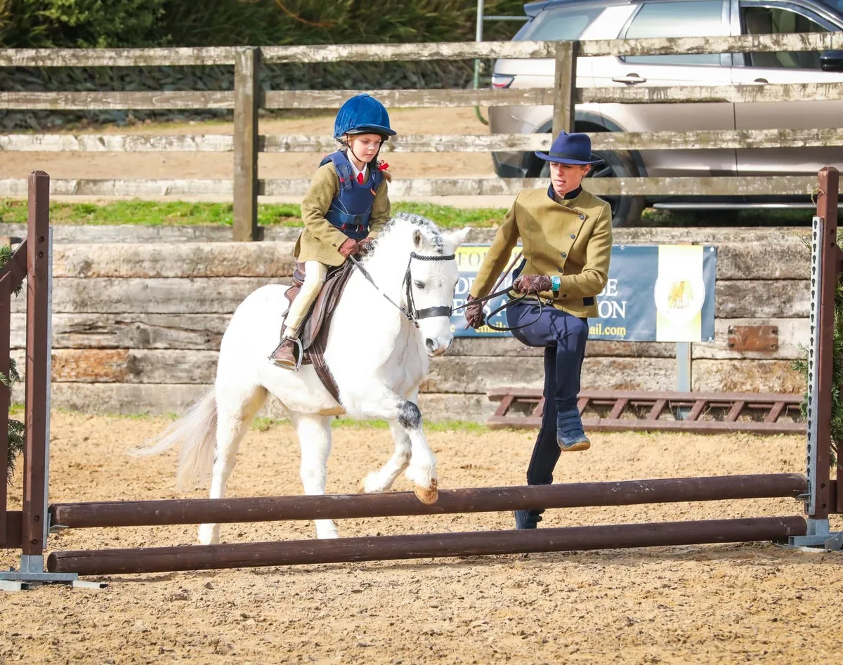 Super lead rein/beginner first ridden pony - Image 2