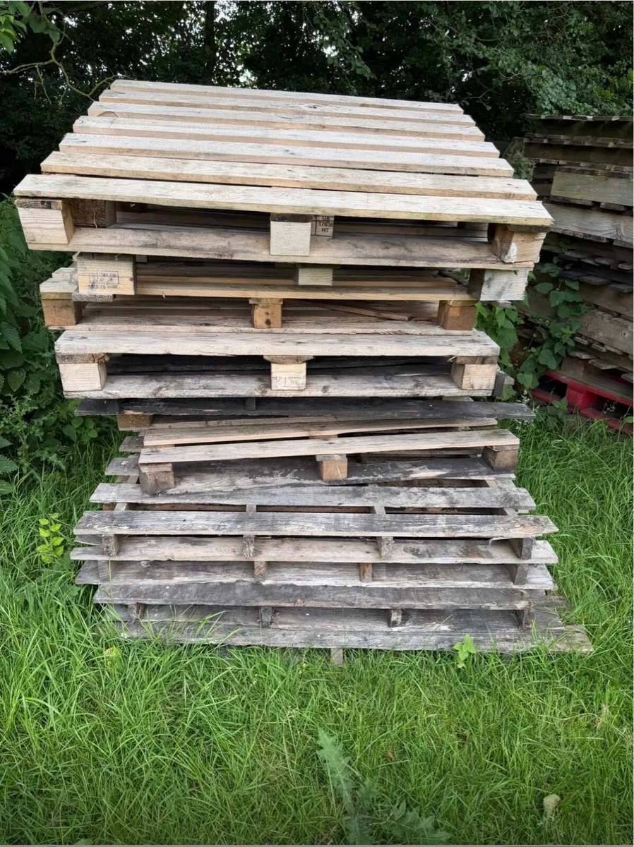 Used pallets - Image 2
