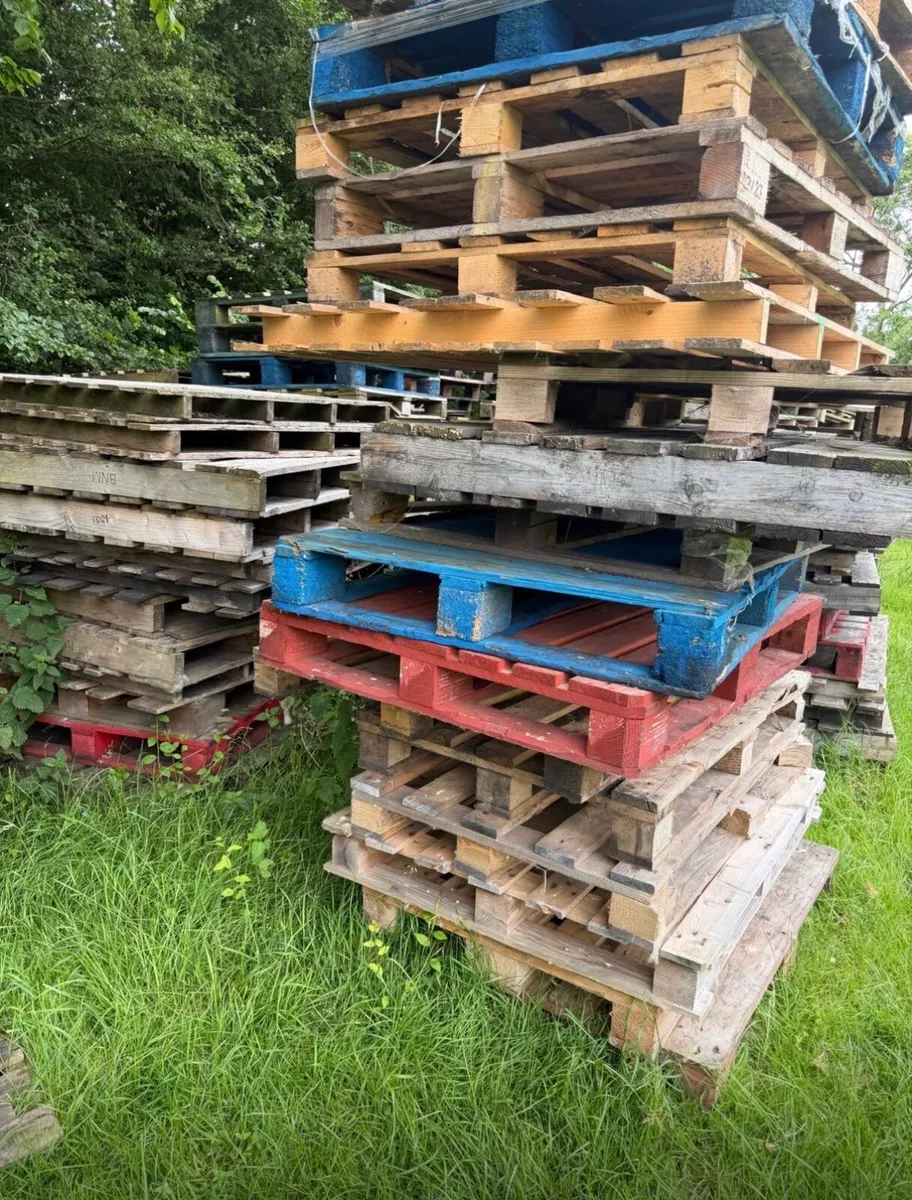 Used pallets - Image 3