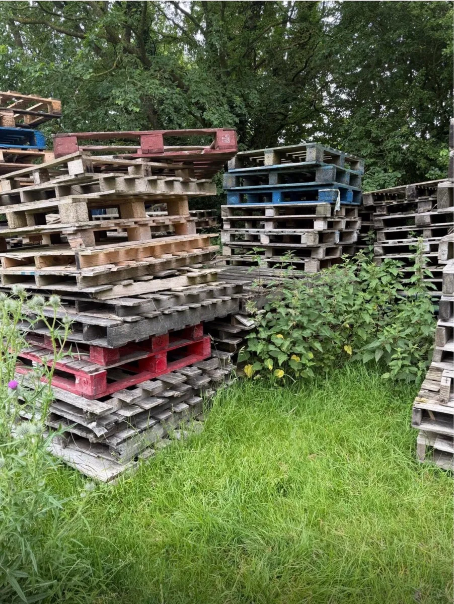 Used pallets - Image 4