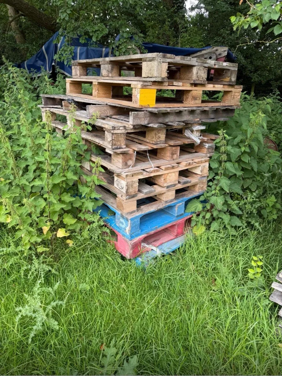 Used pallets - Image 1