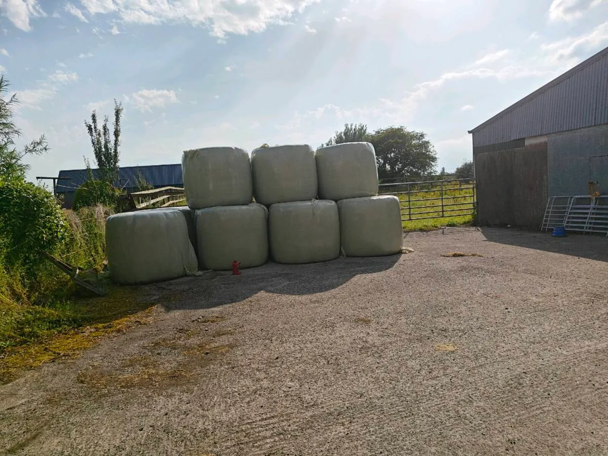 Haylage 2026 - Image 2