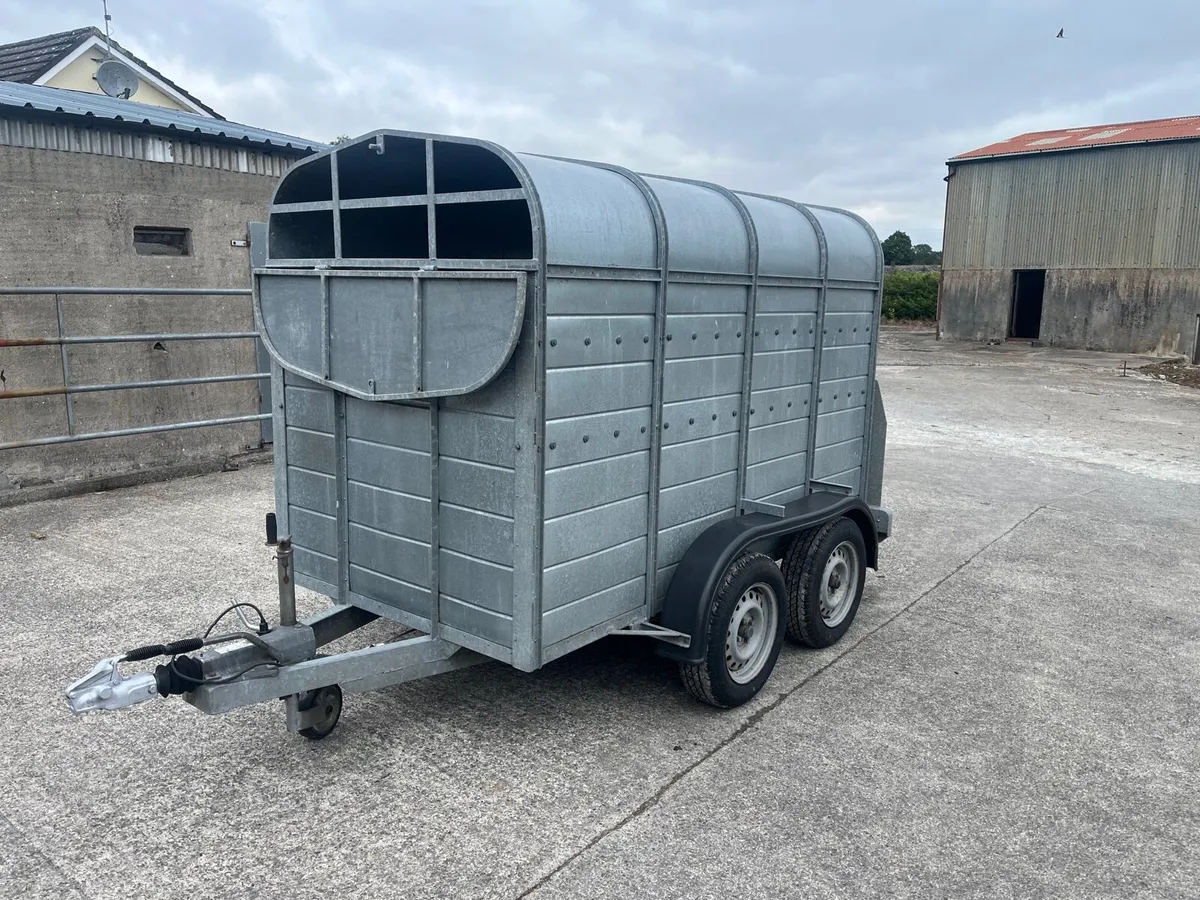 8’2”x4’6” cattle trailer - Image 2