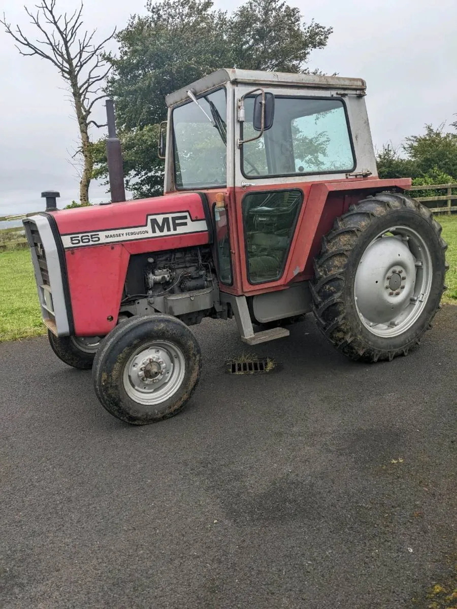 Massey Ferguson 565 - Image 2