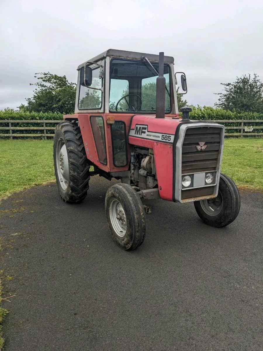 Massey Ferguson 565 - Image 3