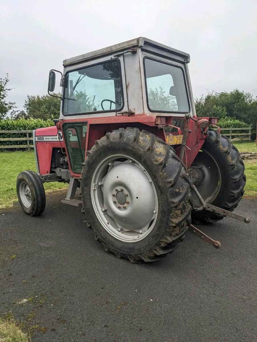 Massey Ferguson 565 - Image 4