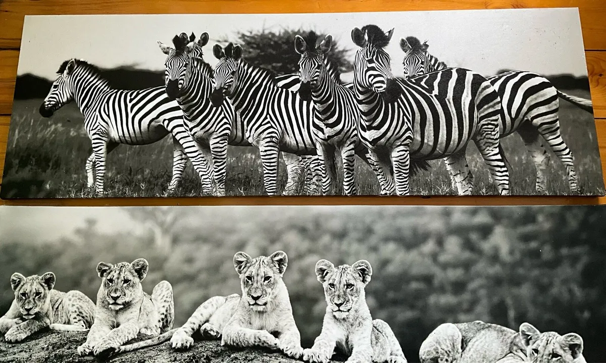 Large Black & White Wall Art Prints. Set of 3 - Image 4