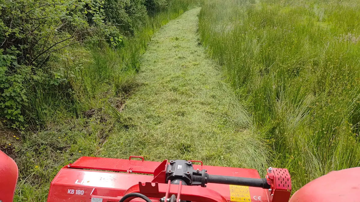 Mulcher lisiecki - Image 2