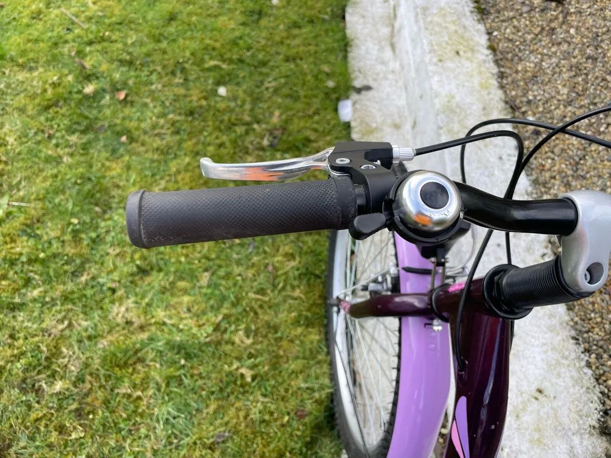 Girls 24’ bicycle - Image 3