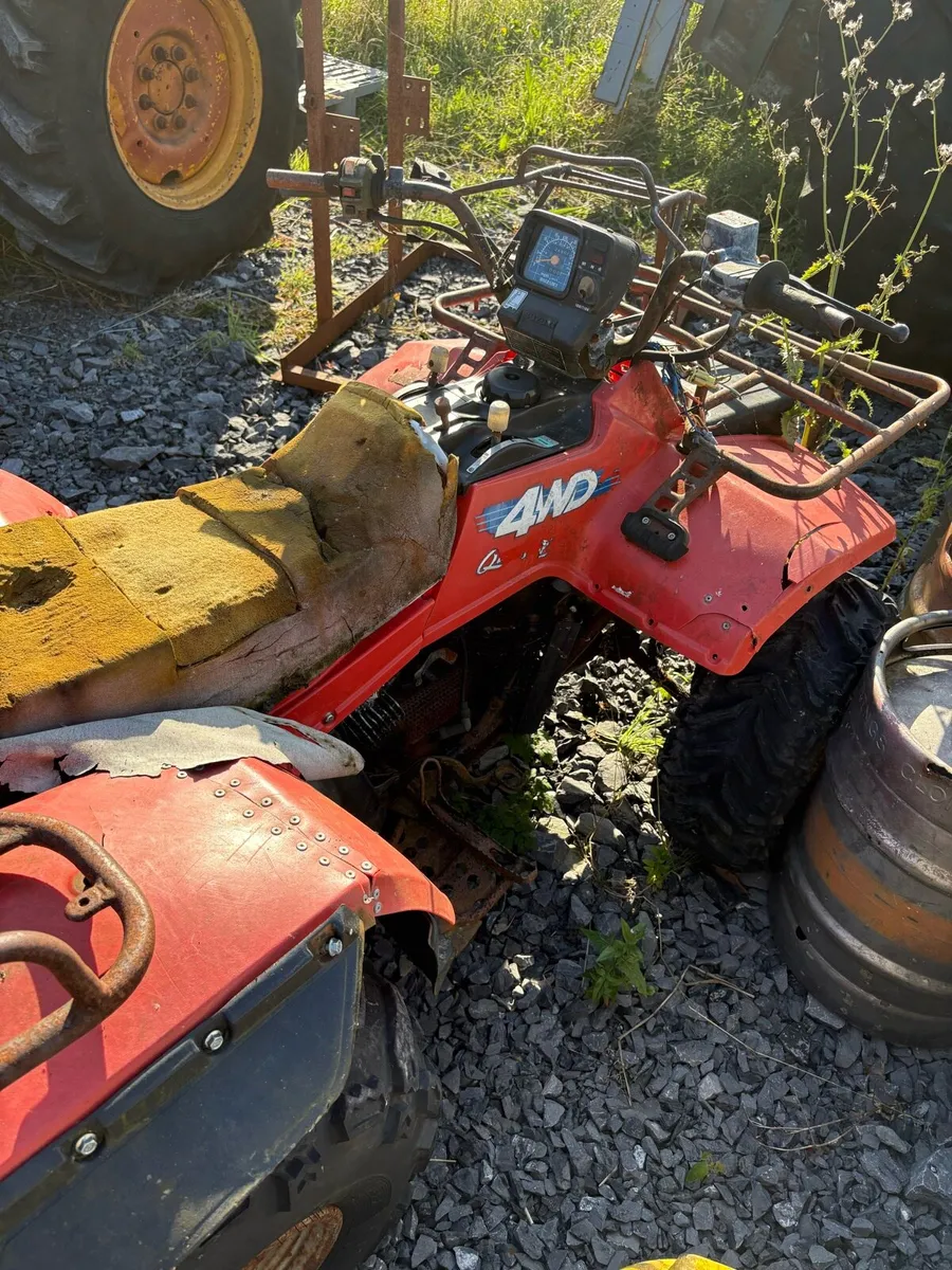 Quad - Image 2
