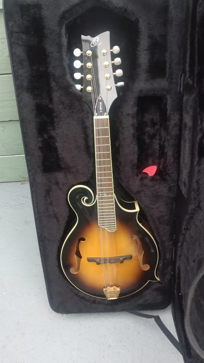 Mandolin - Image 2