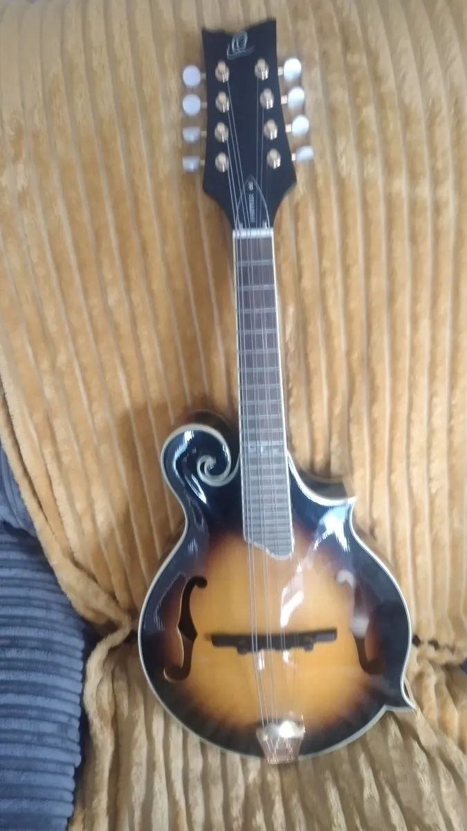 Mandolin - Image 4