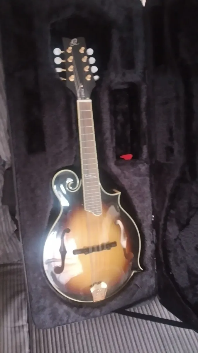 Mandolin - Image 3