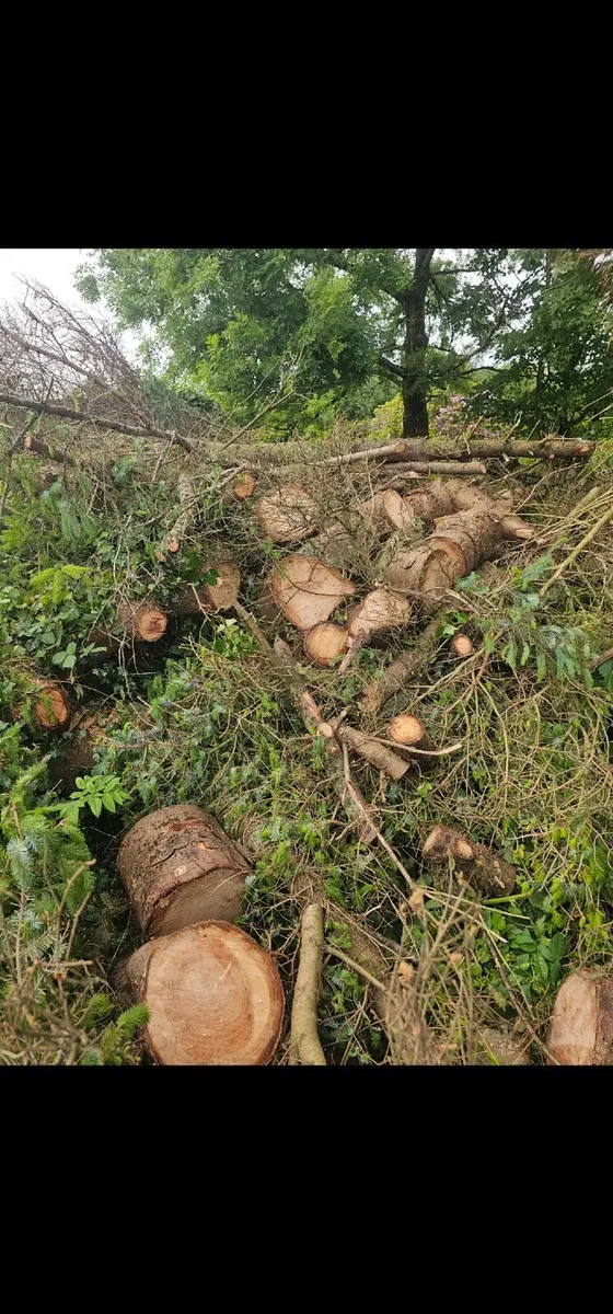 Chainsaw operator - Image 2