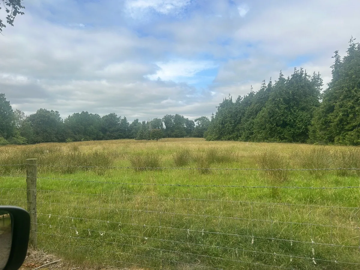 Stable yard with house to rent - Image 3