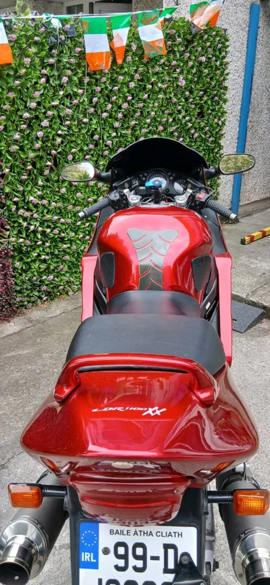 Honda blackbird - Image 2