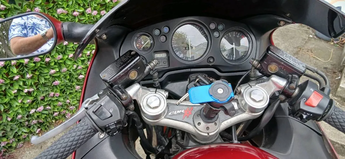 Honda blackbird - Image 3