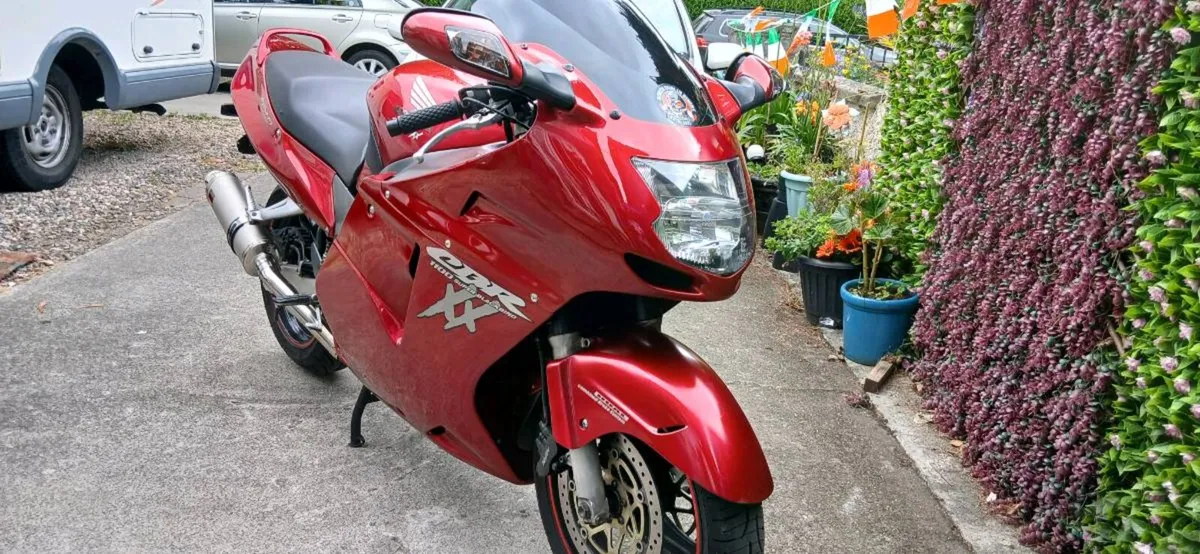 Honda blackbird - Image 1