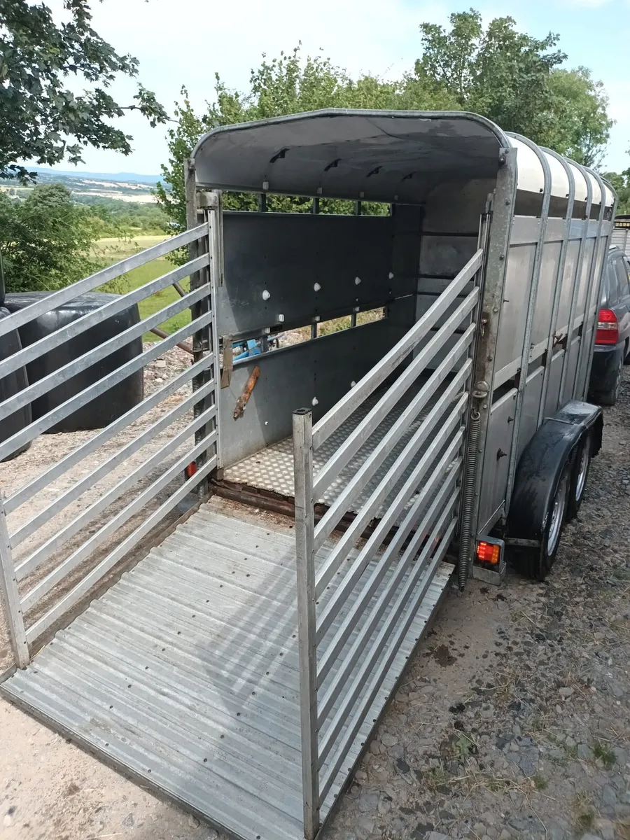 Ifor Williams 10ft x 5ft cow box - Image 4