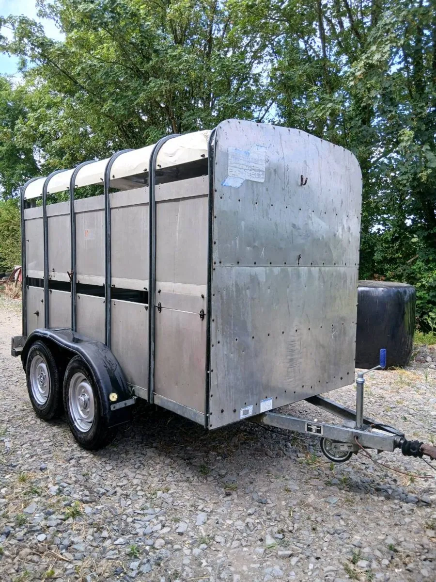 Ifor Williams 10ft x 5ft cow box - Image 1