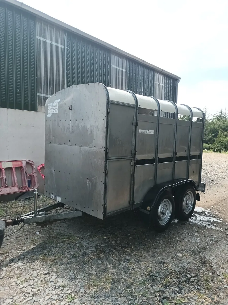Ifor Williams 10ft x 5ft cow box - Image 2