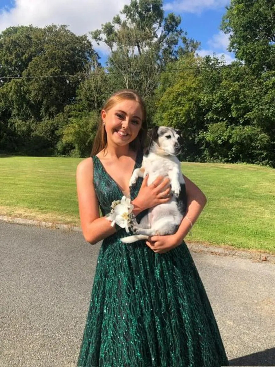 Debs Dress - Image 4