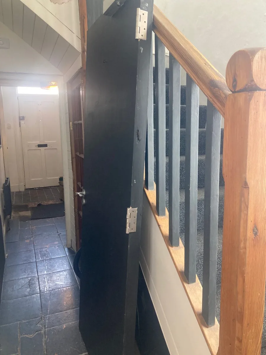 1 hour firedoor
