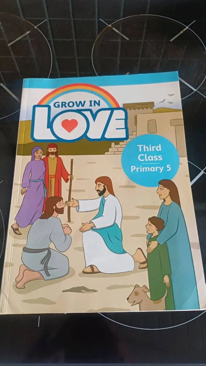 Primary school books - Image 1