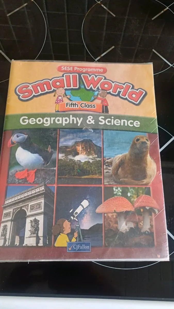 Primary school books - Image 3