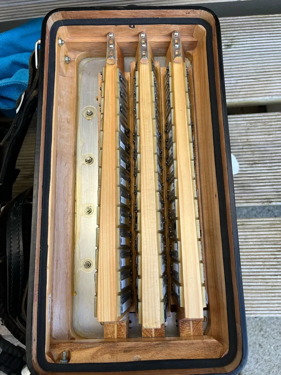 Accordion - Image 2