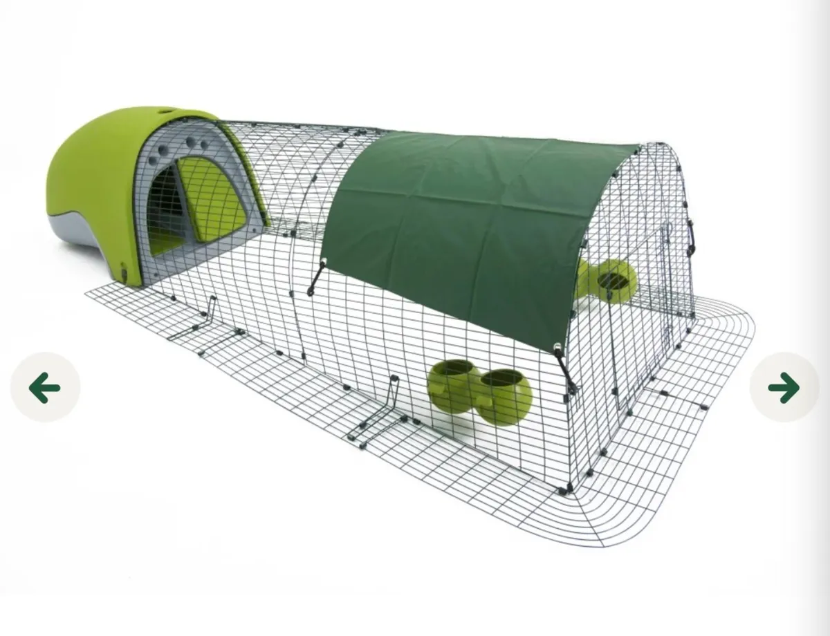 Chicken Coup Omlet PVC - Image 2